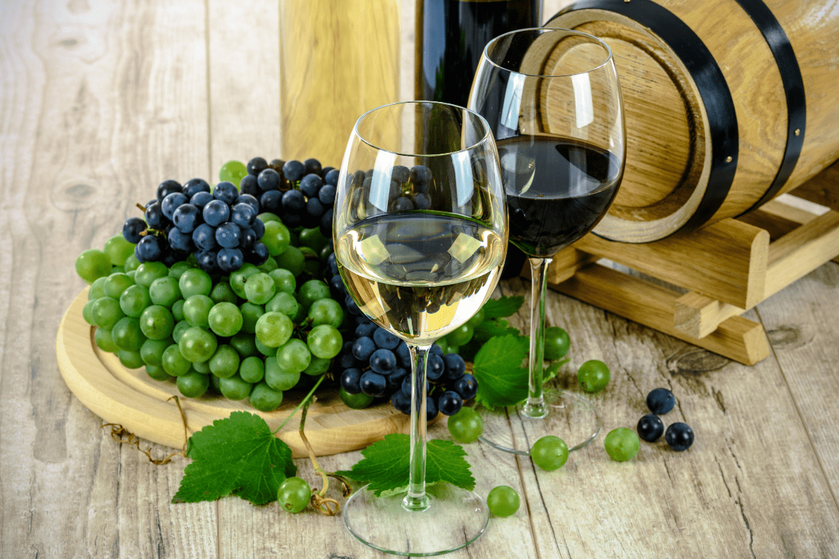 Wine tasting vineyard